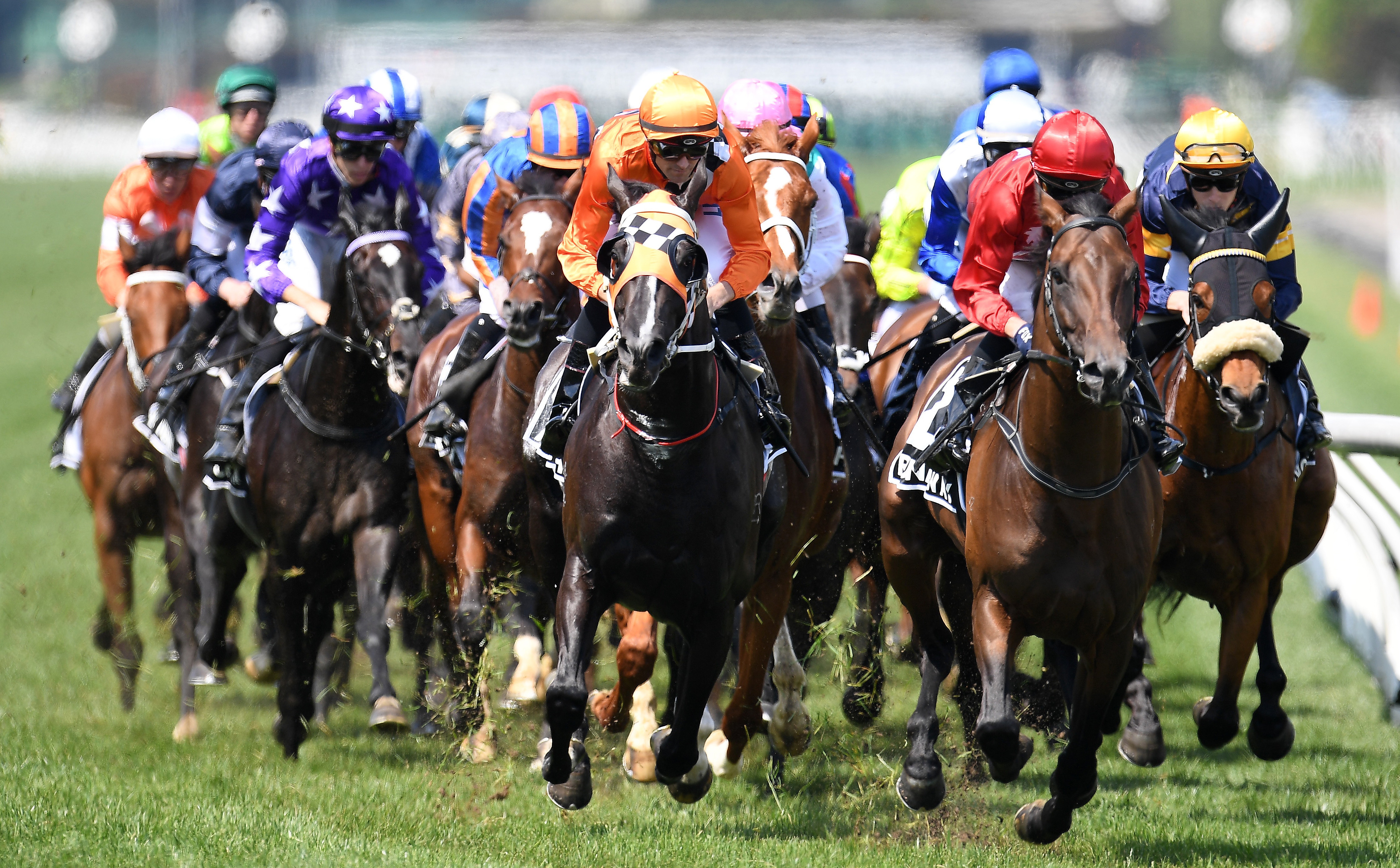 The race that divides a nation: Why controversy surrounds this year's  Melbourne Cup