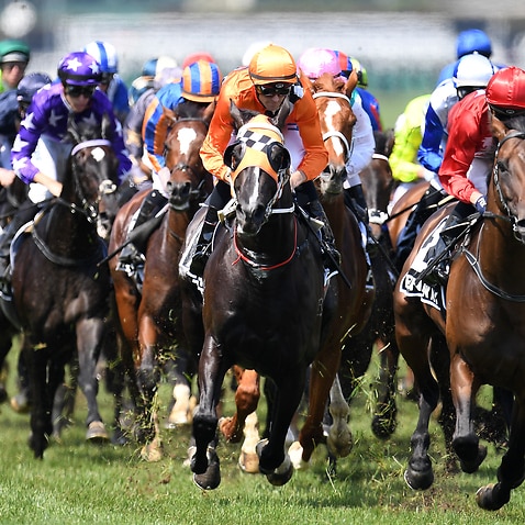 The Melbourne Cup at Flemington Racecourse in 2018. 