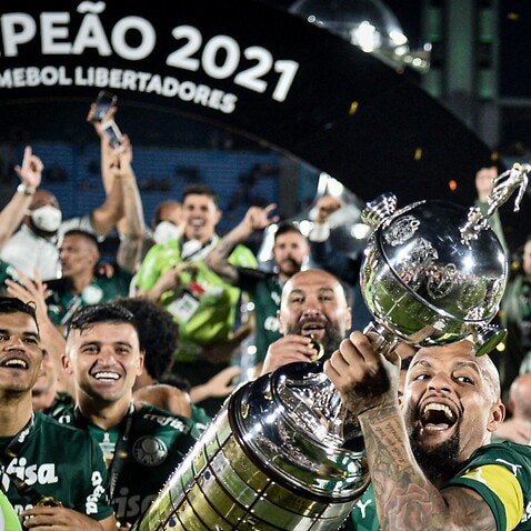 Palmeiras Campeão Libertadores