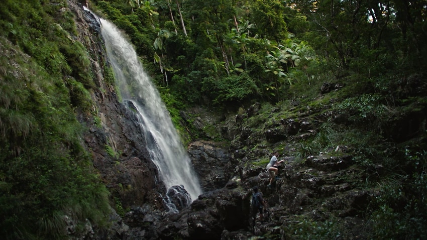 Image for read more article 'NSW unveils tourism campaign to draw in domestic, international travellers'