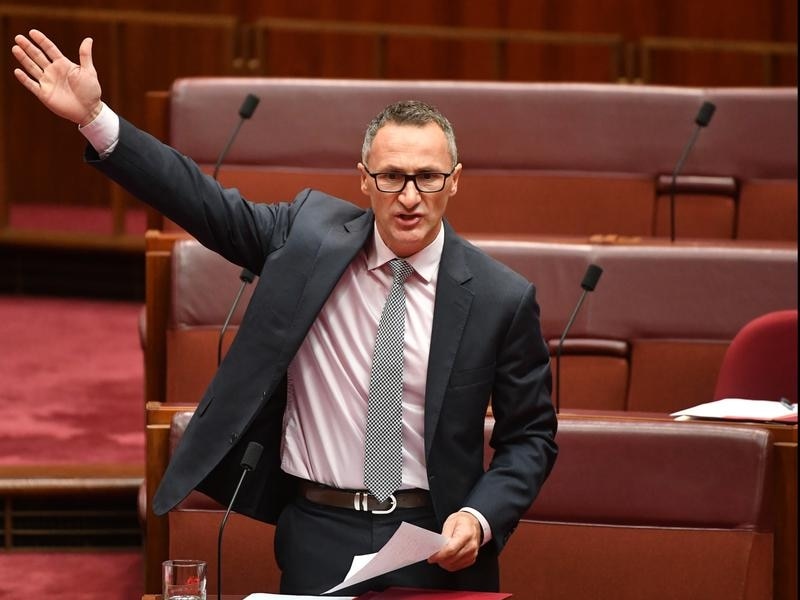 Greens leader Richard Di Natale chaired the Committee on Strengthening Multiculturalism