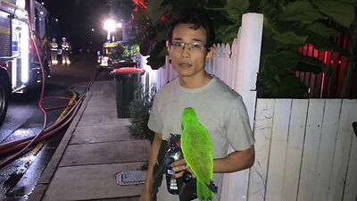 Parrot saves owner from Brisbane house fire.