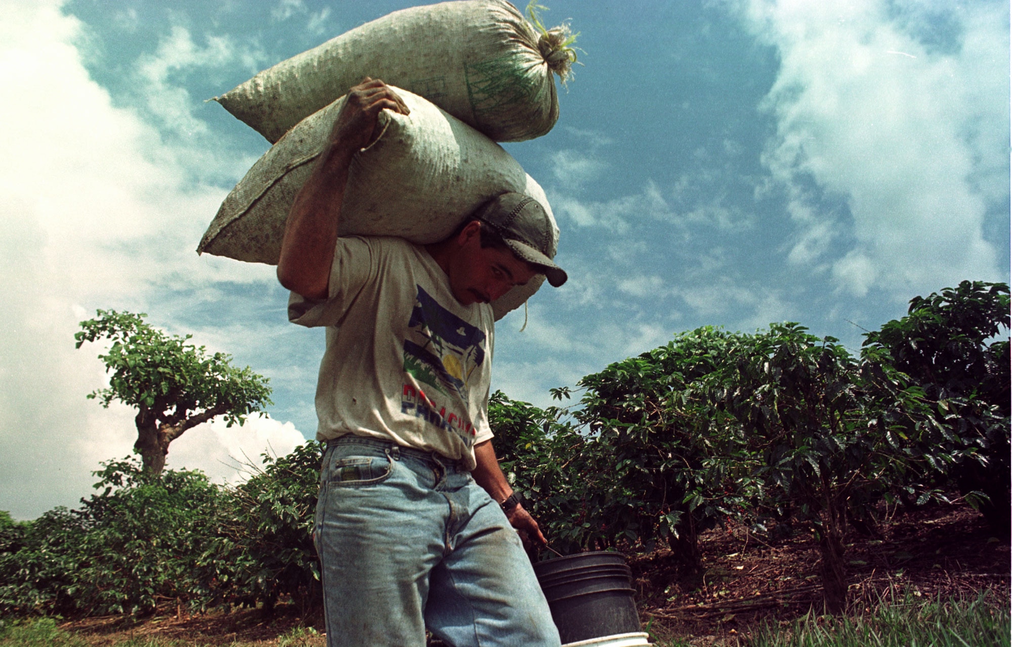 Un lavoratore di una piantagione in Costa Rica