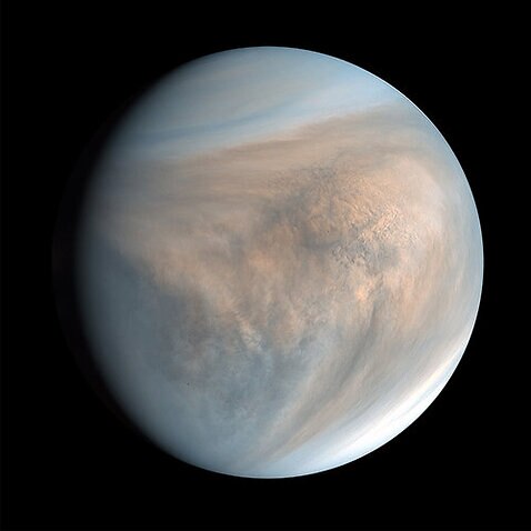 Life on Venus? Astronomers See a Signal in Its Clouds.