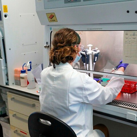 A scientist working at Oxford Vaccine Group's laboratory 