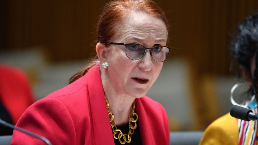 Image for read more article 'Human Rights Commissioner raises alarm over potential 'arbitrary detention' of section 501 detainees'