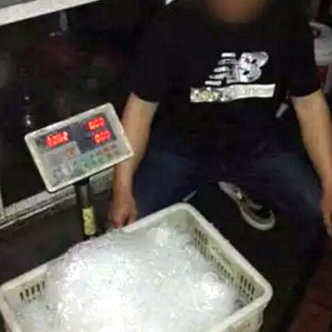 China police seize more than a tonne of fake jellyfish