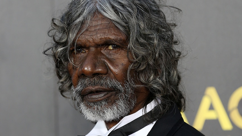 David Gulpilil on the red carpet at the 2015 AFI AACTA Awards at the Star in Sydney, Thursday, Jan. 29, 2015. (AAP Image/Nikki Short) NO ARCHIVING