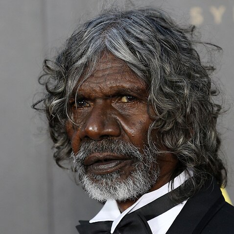 David Gulpilil on the red carpet at the 2015 AFI AACTA Awards at the Star in Sydney, Thursday, Jan. 29, 2015. (AAP Image/Nikki Short) NO ARCHIVING