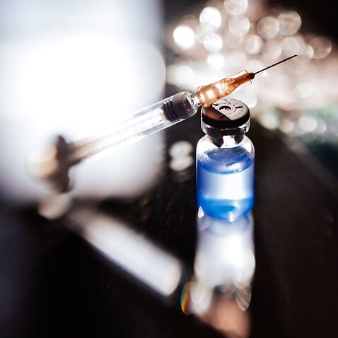 The search for a coronavirus vaccine is an international effort