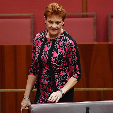 One Nation leader Senator Pauline Hanson during a debate on the Company Tax Bill in the Senate chamber at Parliament House in Canberra, Friday, March 31, 2017. (AAP Image/Mick Tsikas) NO ARCHIVING