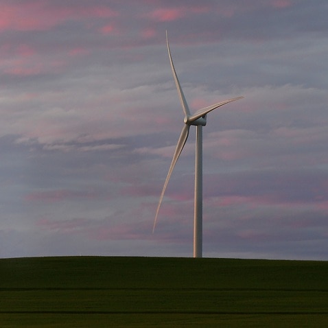 Hornsdale wind farm in Adelaide