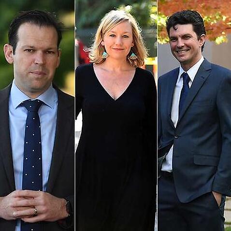 Dual-citizen politicians will wait until October for High Court hearing.