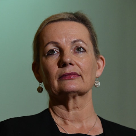 Environment Minister Sussan Ley at a press conference at Parliament House in Canberra on Thursday, 24 June, 2021. 