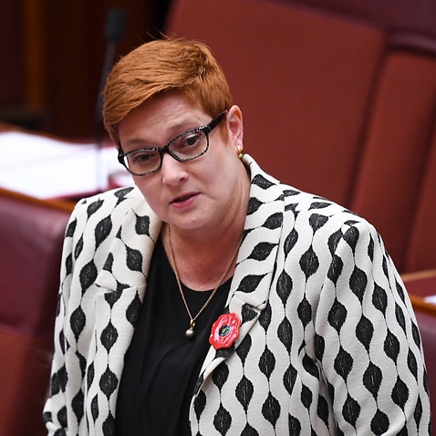 日本疯传新疆集中营漫画网民 明日香港