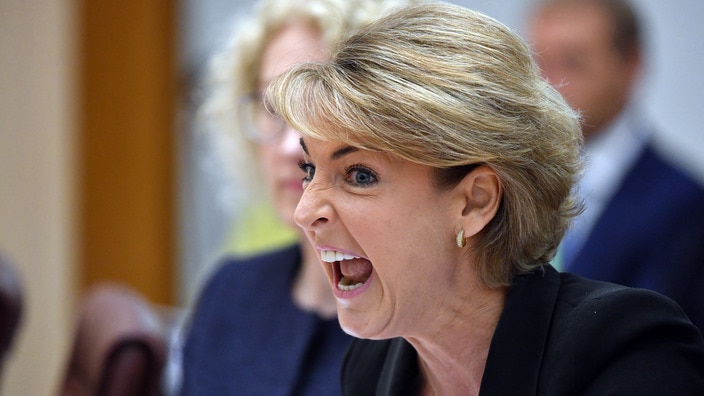 Senator Michaelia Cash at Senate estimates. 