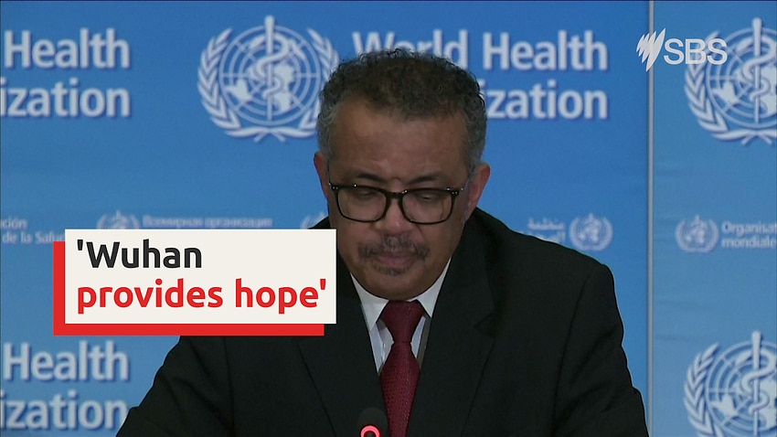 World Health Organization says Wuhan's recovery provides 'hope for rest of world'