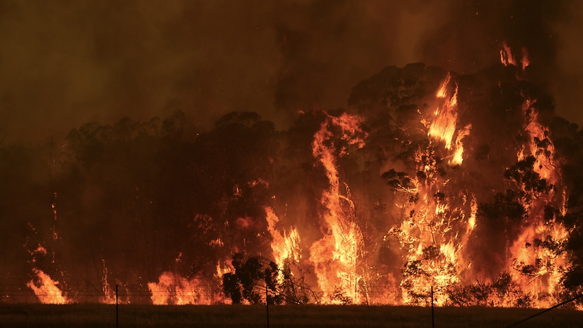 Image for read more article 'Eight in ten Australians fear climate change will cause more bushfires and want a transition away from coal'