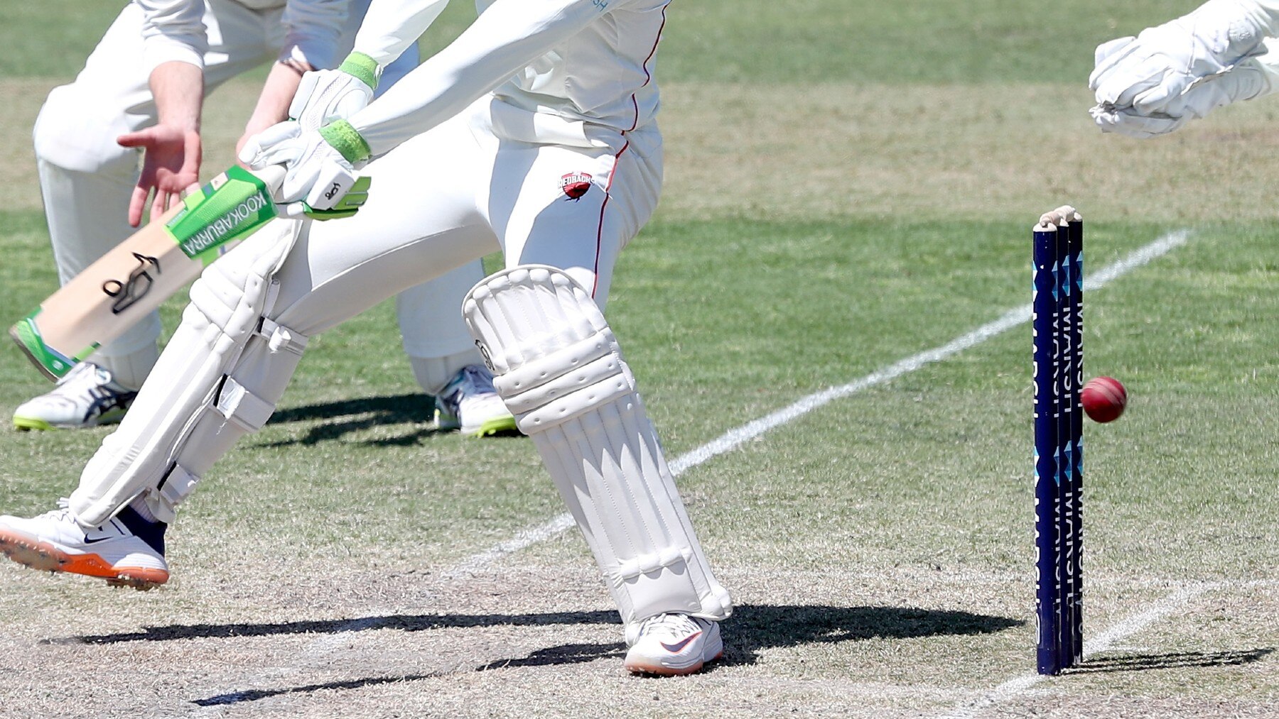 Pro cricket. Source - AAP Image James Elsby