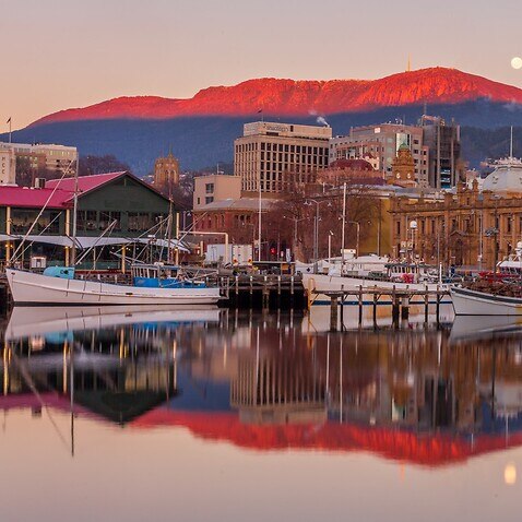 Tasmania-New South Wales 