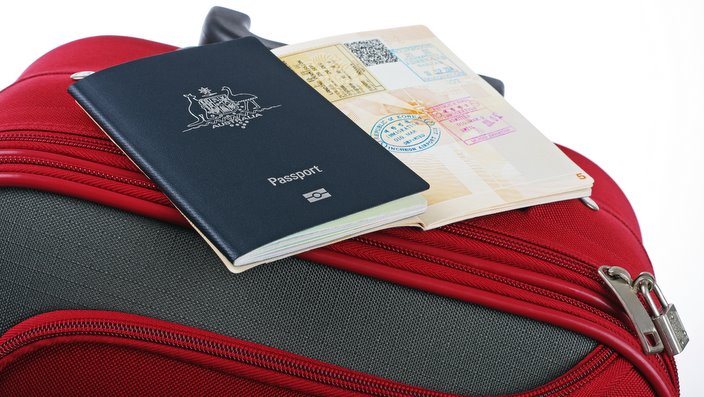 passport and travel case