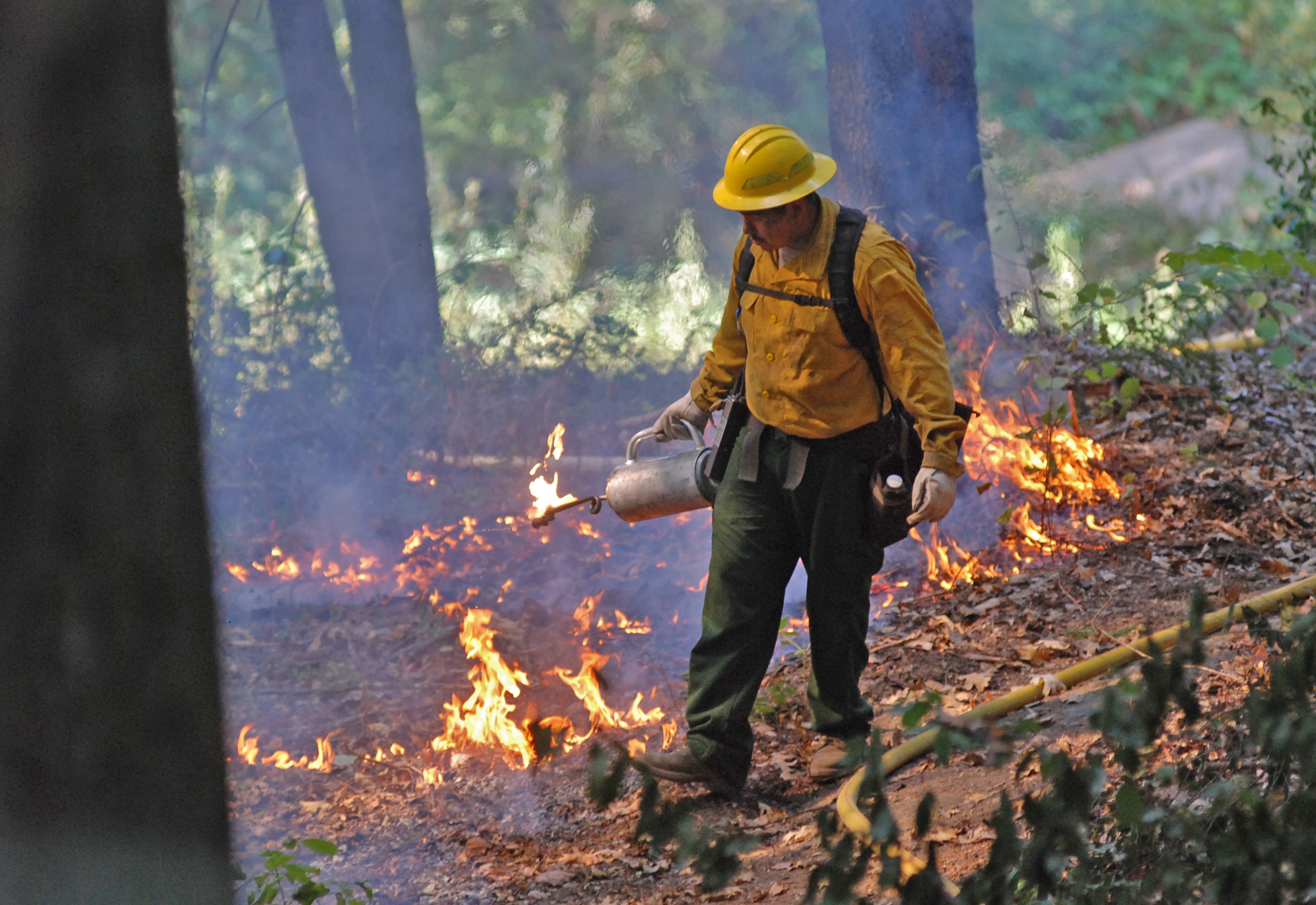 Agencies are slowly embracing traditional fire management practices. Yurok Tribe cultural burning