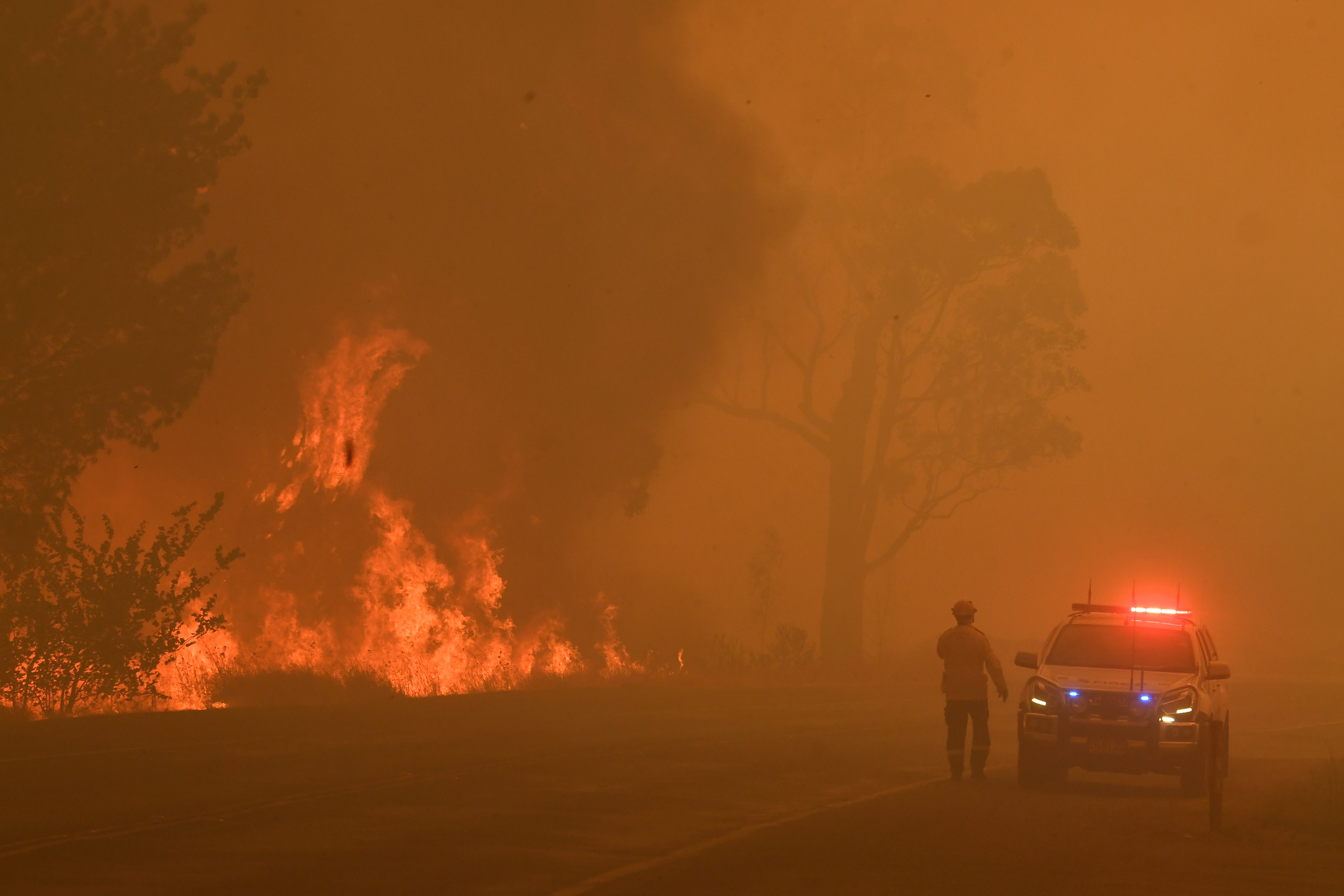 Homes have been lost in the Southern Highlands region as RFS crews battle the blaze. 