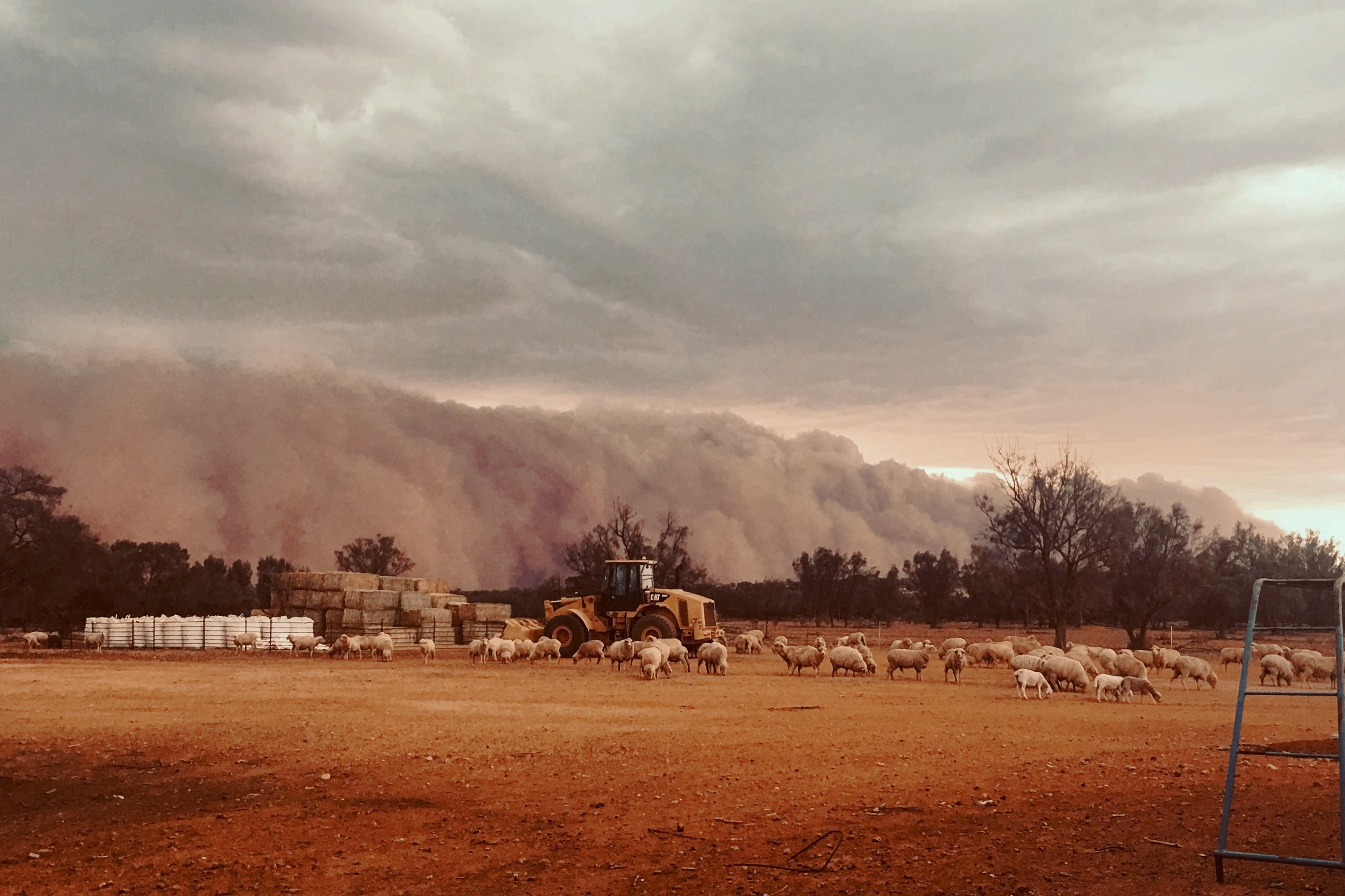 Incredible vision of dust storm rolling in at Katalpa Station in NSW