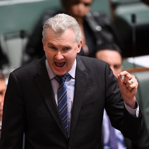 The manager of the Opposition Tony Burke delivers a speech on citizenship in the House of Representatives at Parliament House in Canberra, Monday, August 14, 2017. (AAP Image/Lukas Coch) NO ARCHIVING