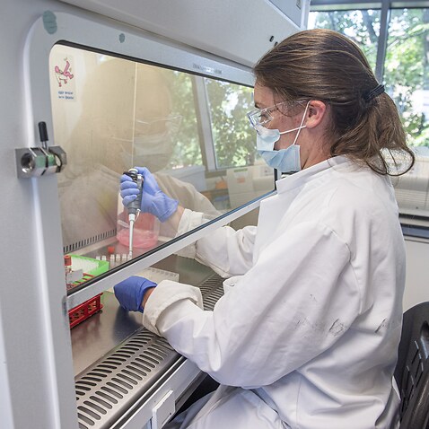 Samples from coronavirus vaccine trials are handled inside the Oxford Vaccine Group laboratory in Oxford, England.