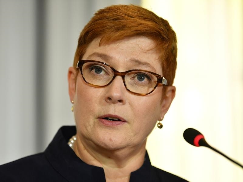 Foreign Minister Marise Payne says the government is committed to tackling climate change. 