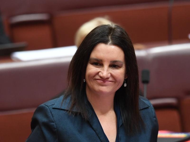 Former Senator Jacqui Lambie has been vocal on issues such as Islam, migration and even the burqa.