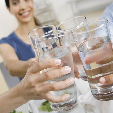 Multi-ethnic family toasting with water