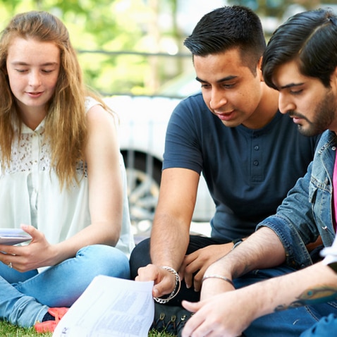 Male and female students sitting working on college campus