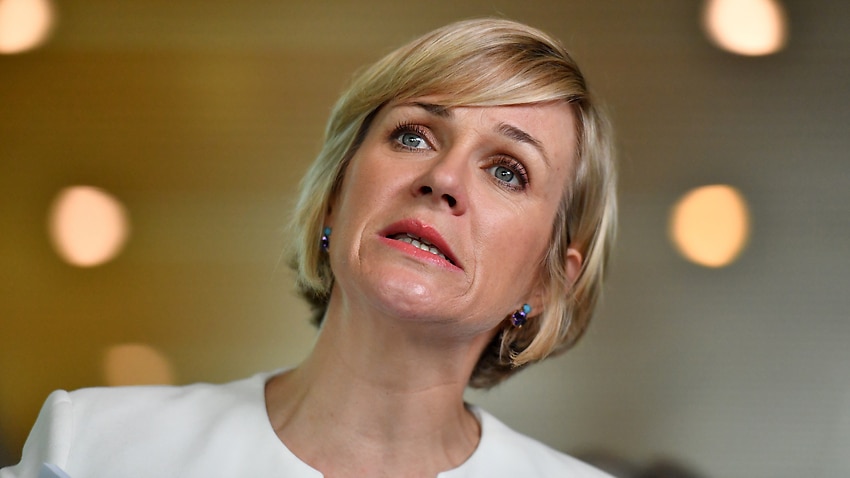 Independent MP Zali Steggall at Parliament House in Canberra.