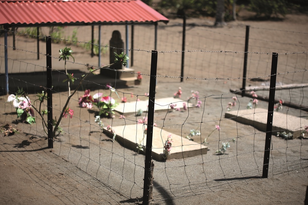 The graves of Stella's babies that did not survive birth. 