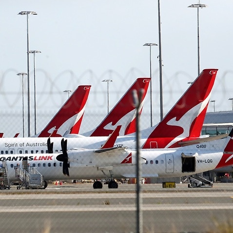 A lineup of Quantas planes at Brisbane domestic airport 