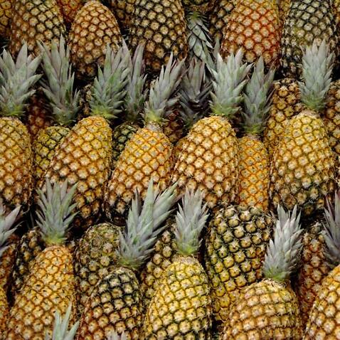 The shape of a pineapple can tell you if this pineapple is a sweet one.