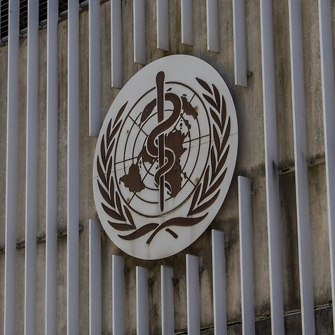  World Health Organization (WHO) 