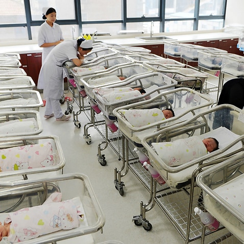 Chinese nurses attend newborn infants at a hospital in Lanzhou city