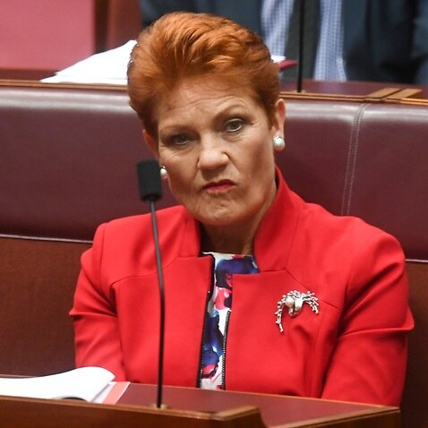One Nation leader Senator Pauline Hanson during Senate Question Time in the Senate chamber at Parliament House in Canberra, Thursday, March 22, 2018. 