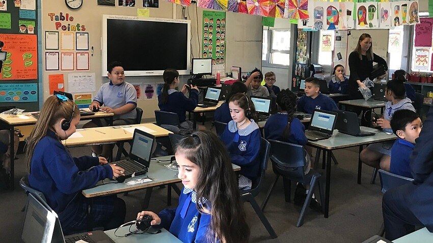 Government says NAPLAN here to stay amid online glitches
