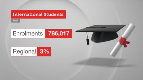 Graphic showing international student numbers