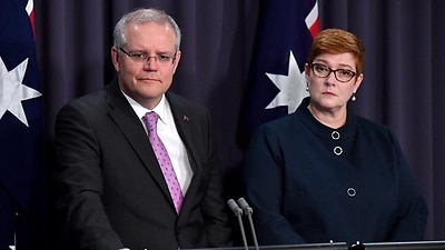 Prime Minister Scott Morrison has been pushing for the inquiry while Foreign Minister Marise Payne said she was pleased to see it gather support. 