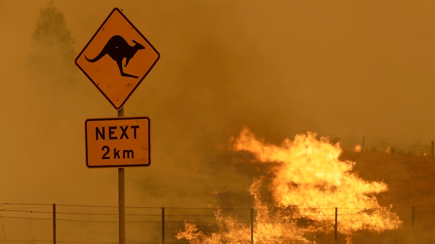 Fire burns in grass near Bumbalong, south of Canberra, on February 1, 2020