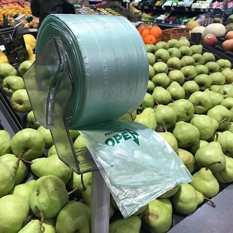 Fruit on display at a supermarket