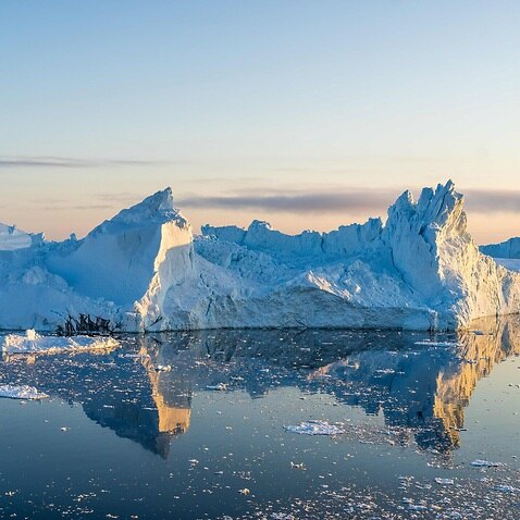 Icebergs in Greenland, where global warming is having a profound effect 