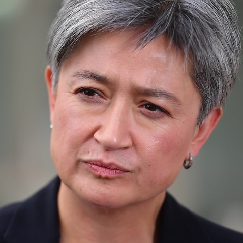 Labor's foreign affairs spokesperson Penny Wong speaks to reporters.