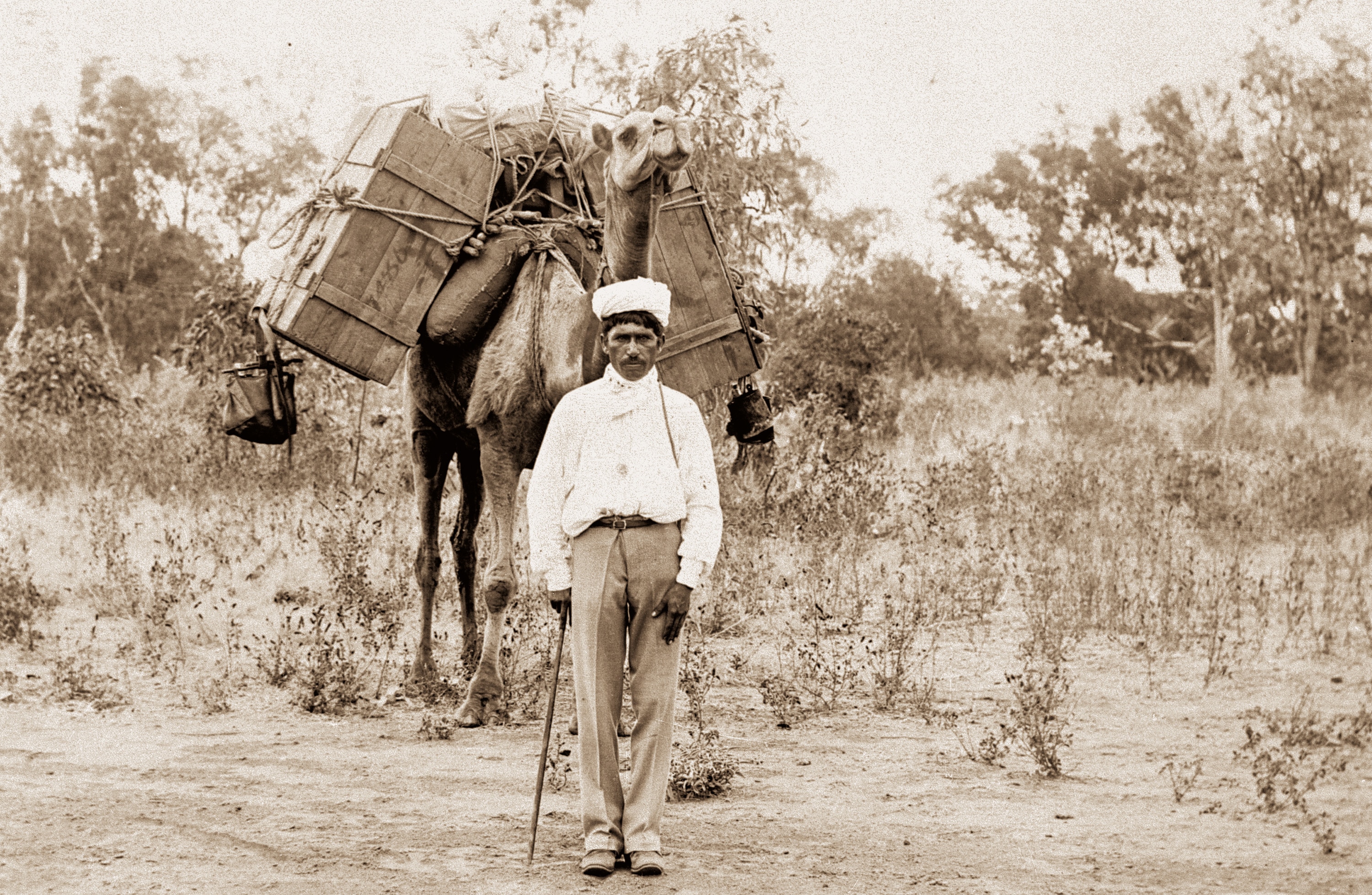 An undated handout photo of a cameleer and camel, c1900. - Australia's Muslim Cameleers exhibition, Dec. 12, 2007,Canberra. (AAP /State Library of Queensland)