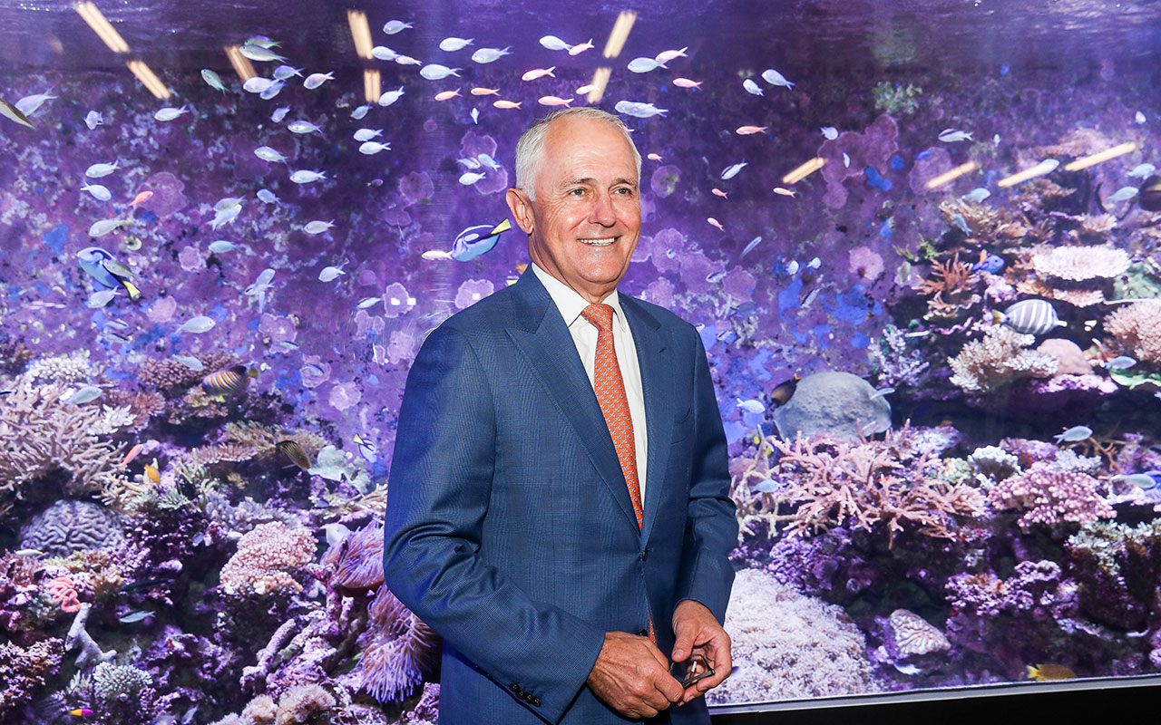 Malcolm Turnbull has announced a $60 million plan to save the Great Barrier Reef 